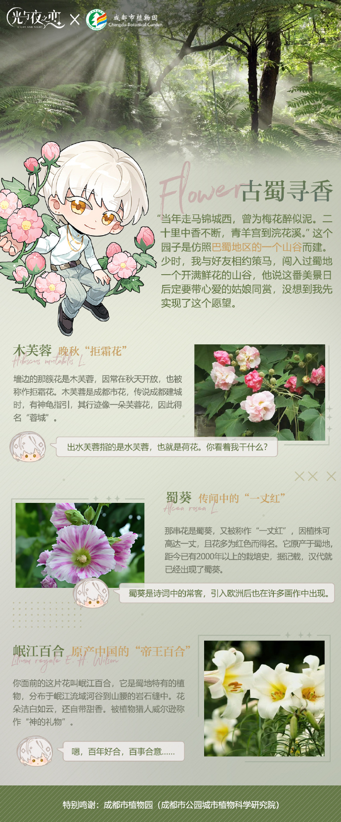 秘密花园|齐司礼X植物研究院